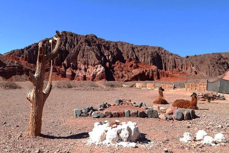 Rincon Del Cielo Hotel Salta Kültér fotó